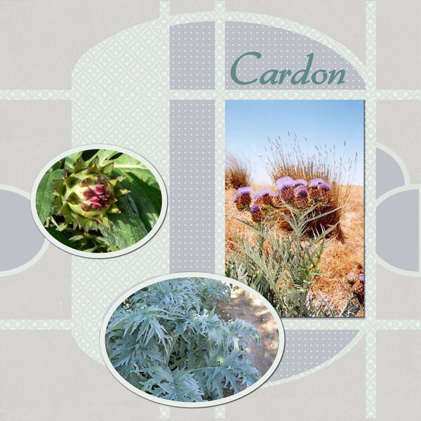 cardon