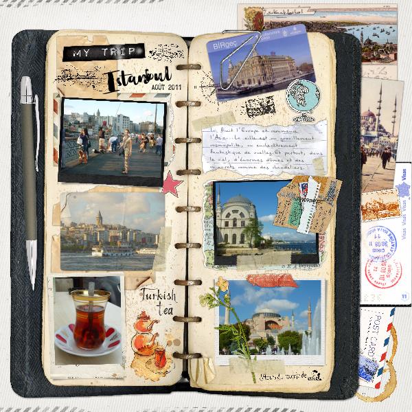 - Carnet de voyages (suite) -