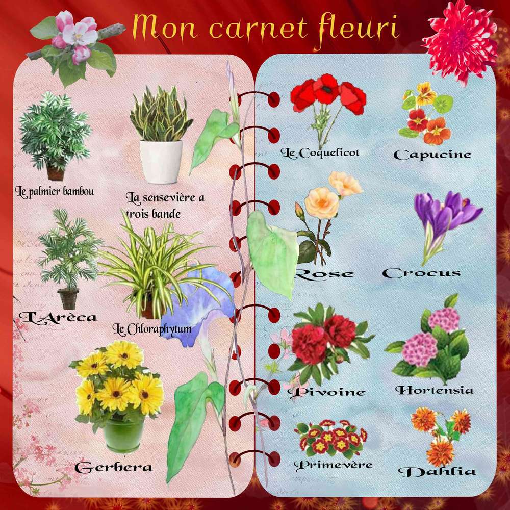 Carnet fleuri