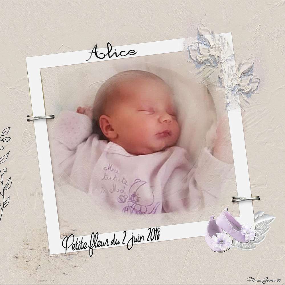 CARNET ROSE