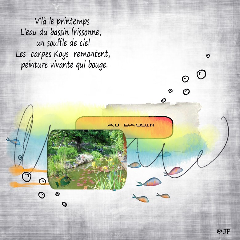 carpes koy au bassin.jpg