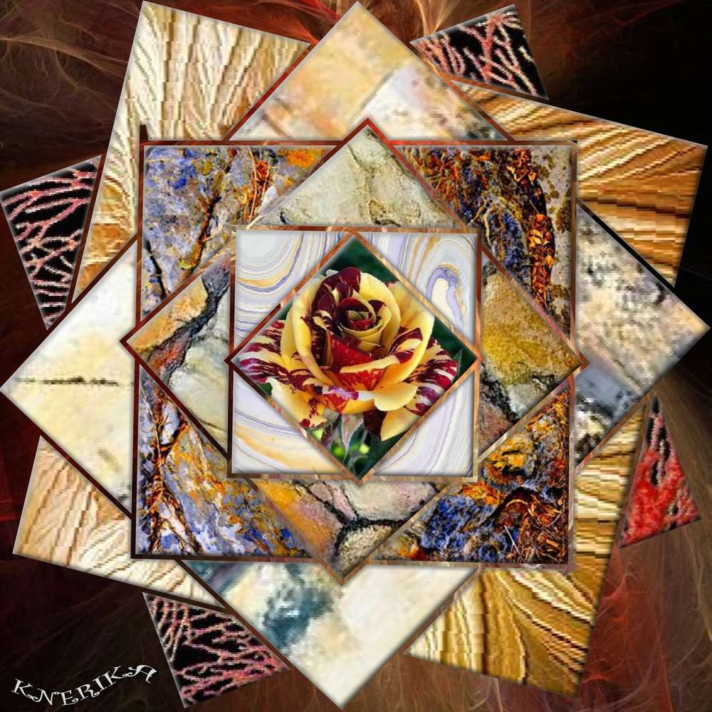 carr__s_en_quinquonce_Anne_Marie_3