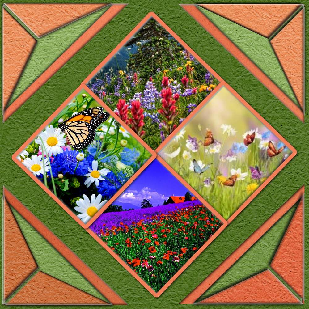 carr__s_et_triangles__page_2_