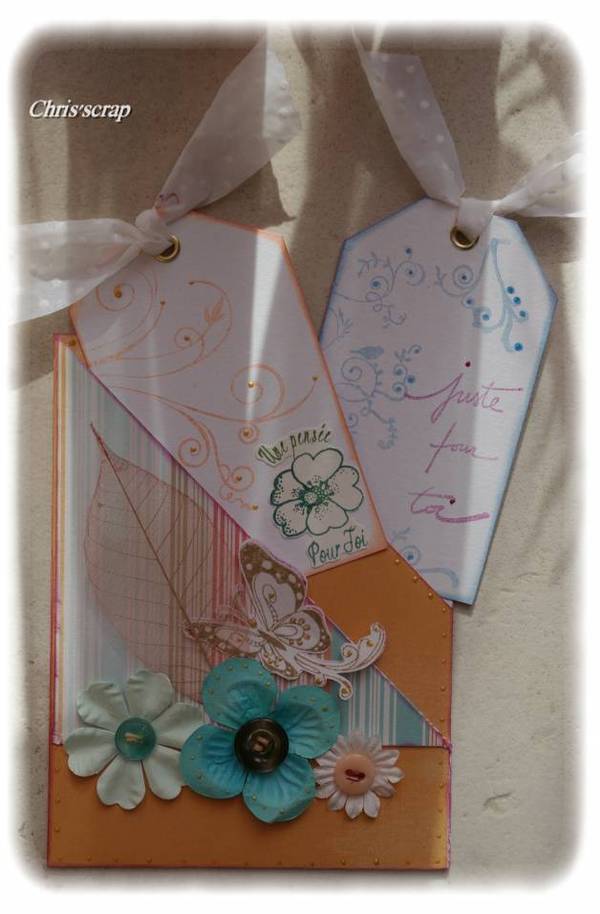 CARTE A TAGS ou à double pochettes