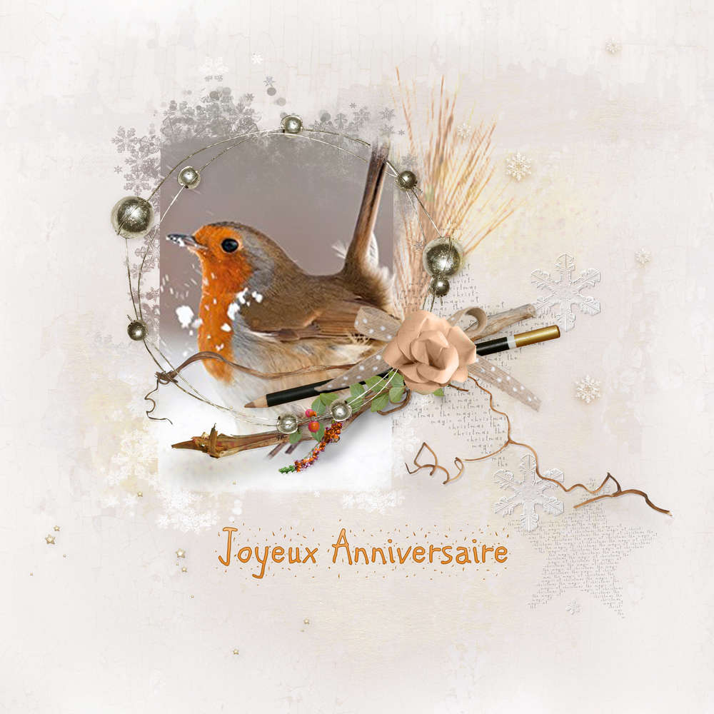 Carte anniversaire gigi