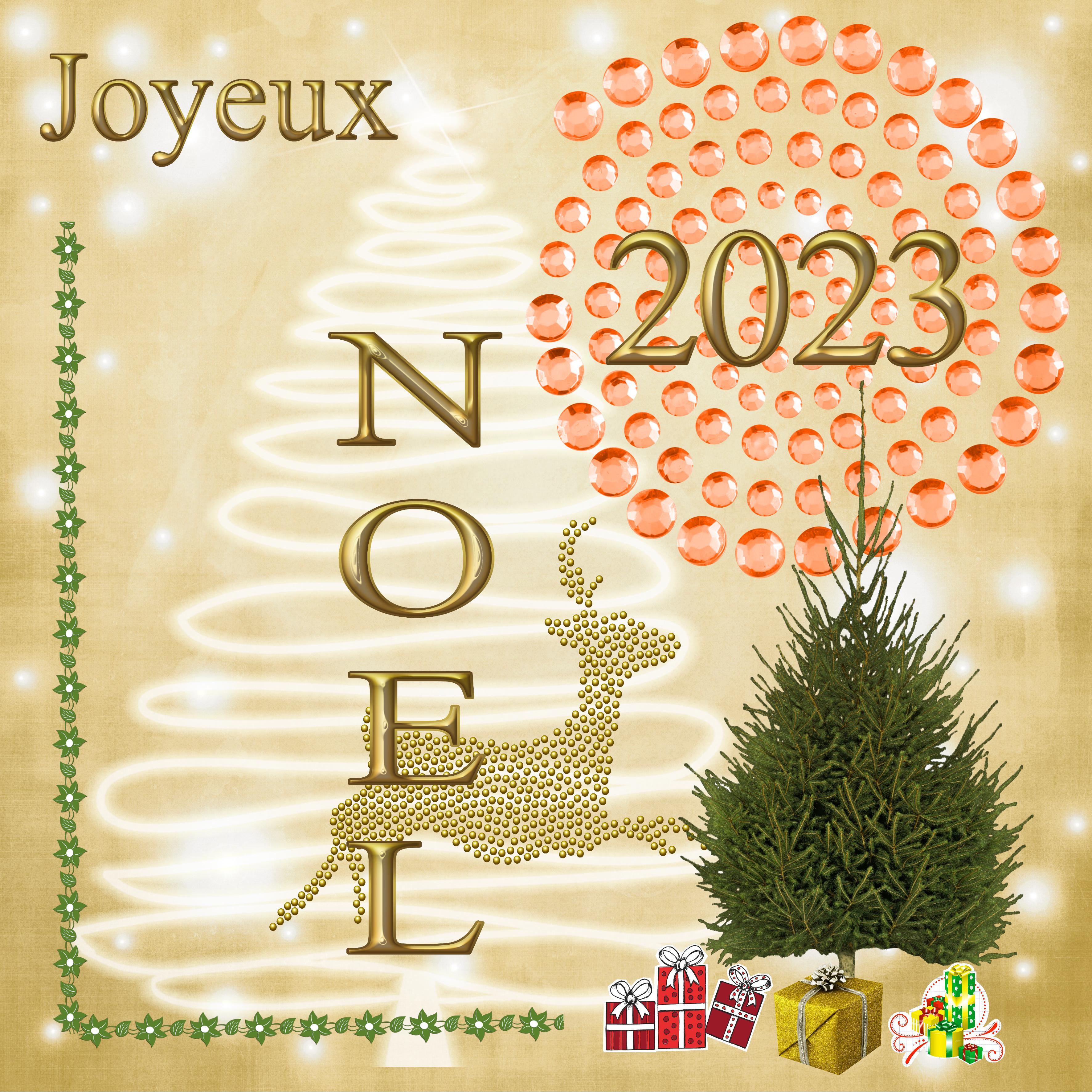CARTE DE NOEL.jpg