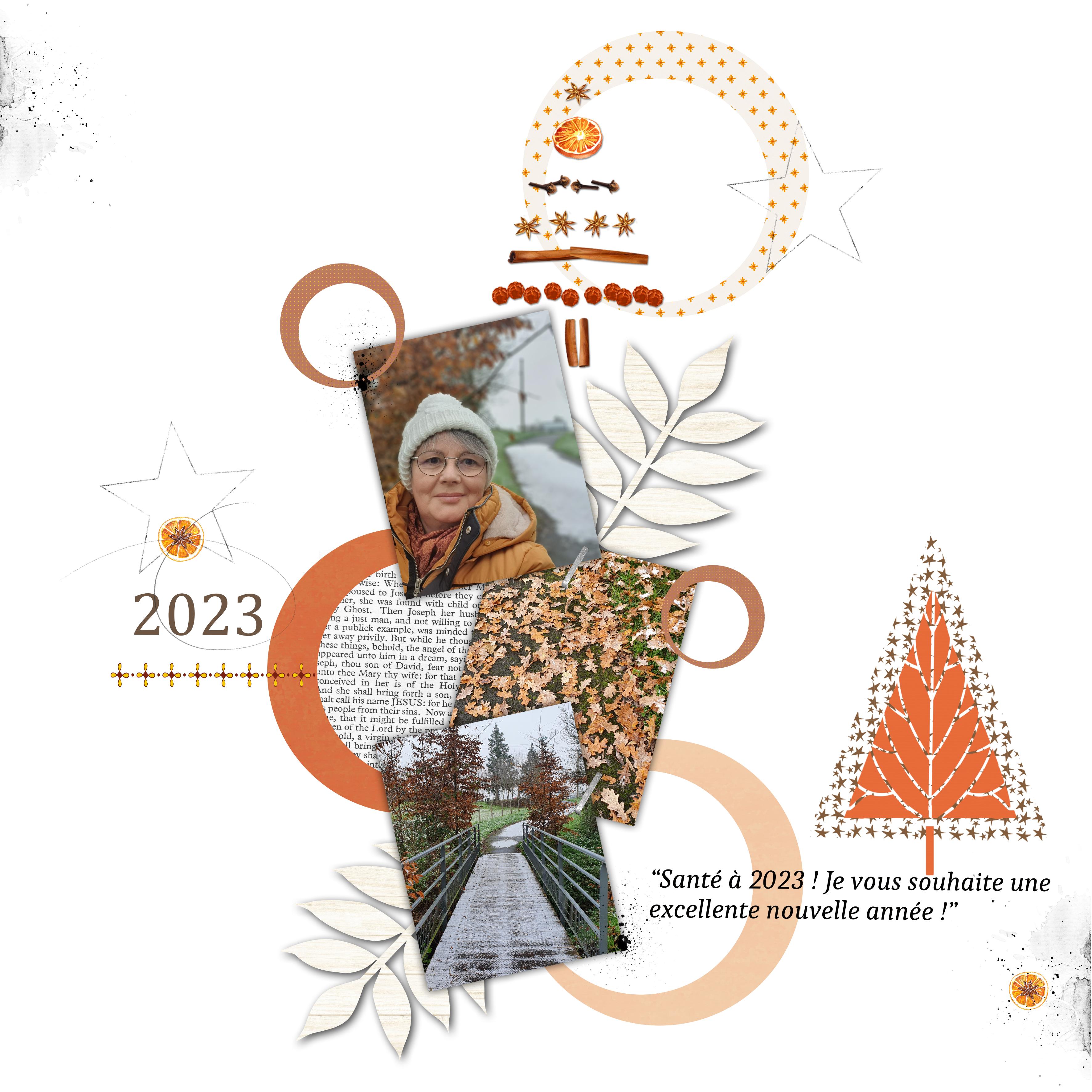 carte de voeux 2023.jpg