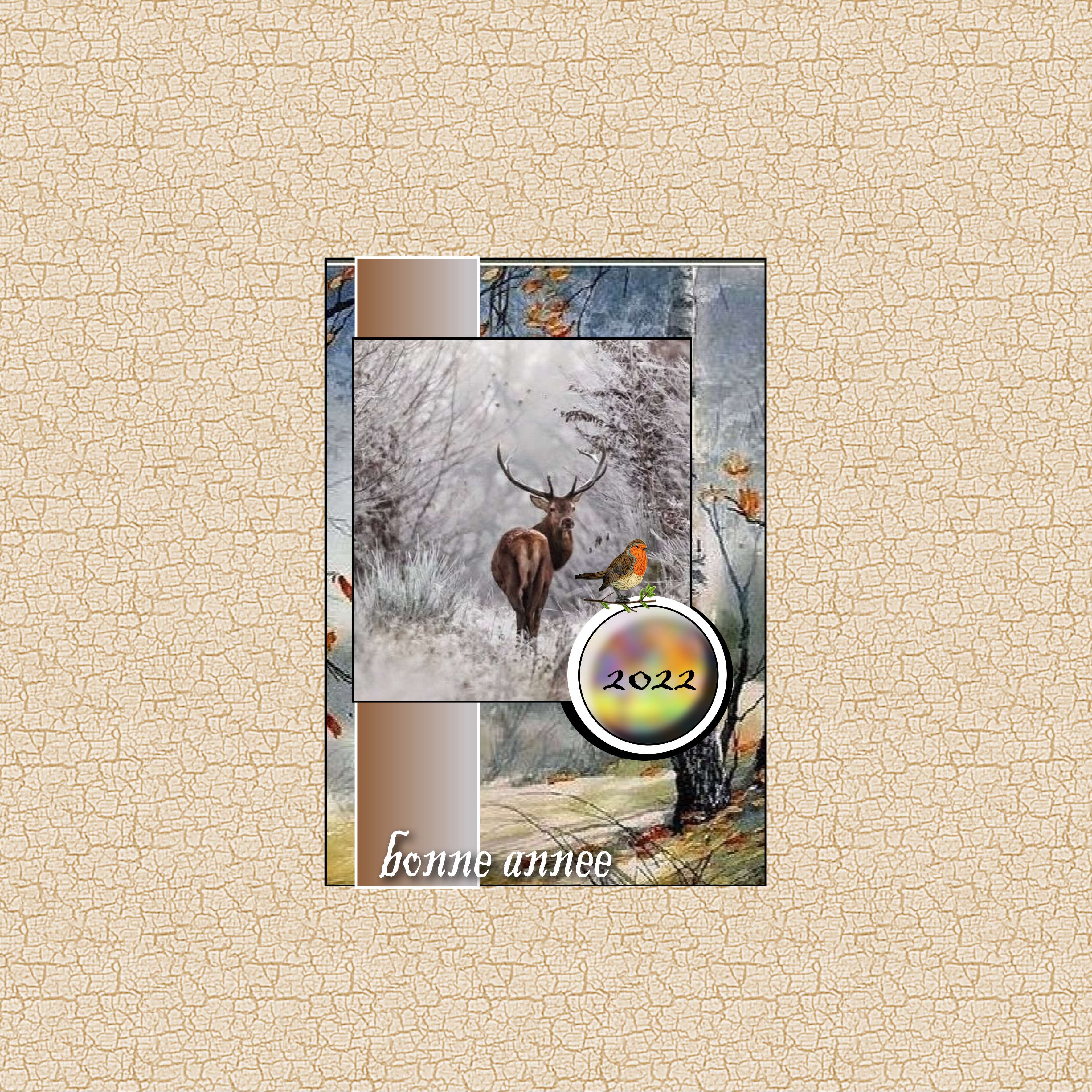 carte de voeux   revue.jpg