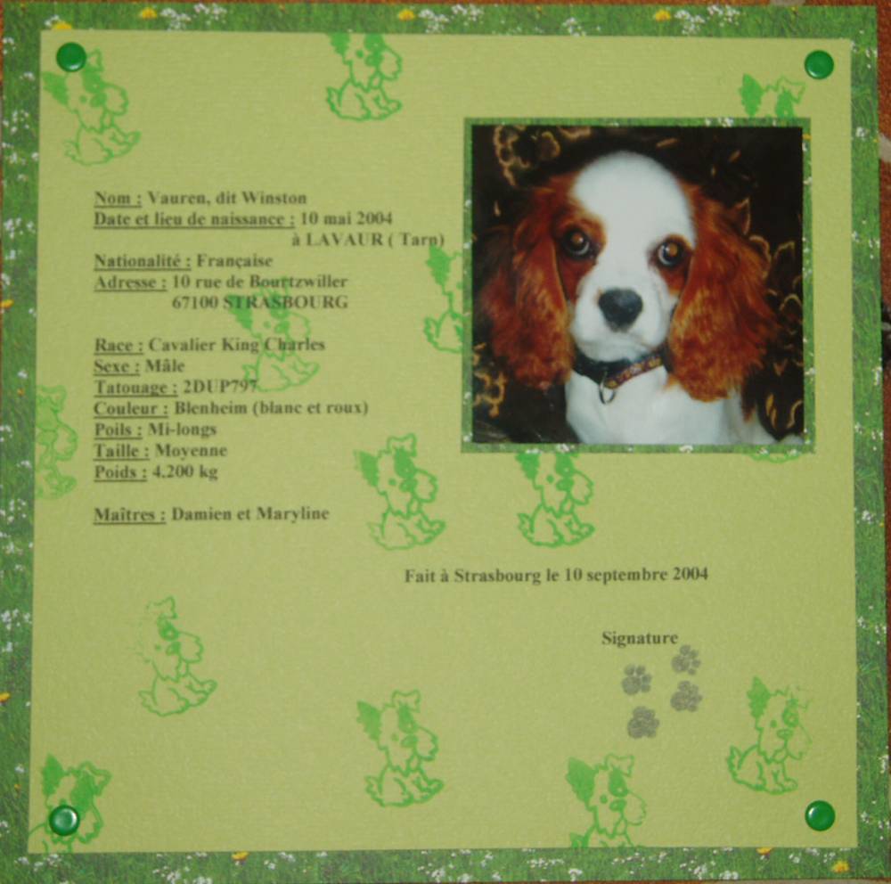 Carte d'identité canine