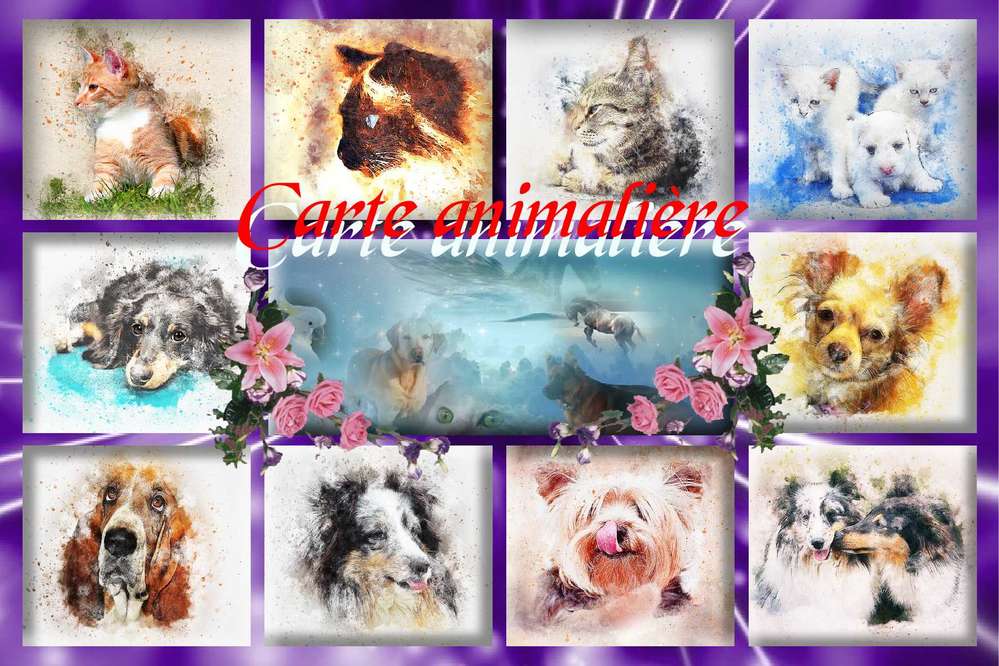 carte postale animalière