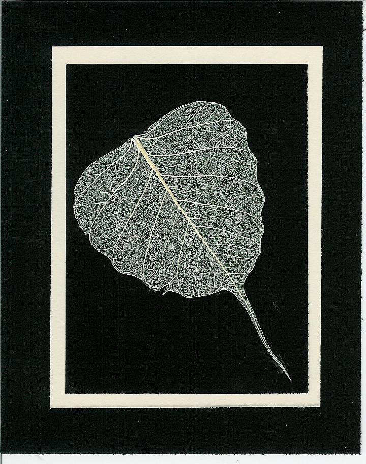 carte pour condoléances