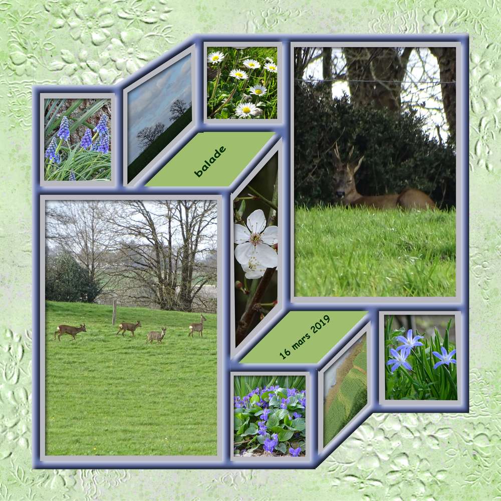 carte_ouverte_balade_16_mars_2019