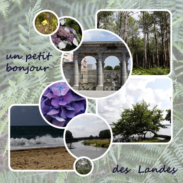 cartepostale_des_Landes_