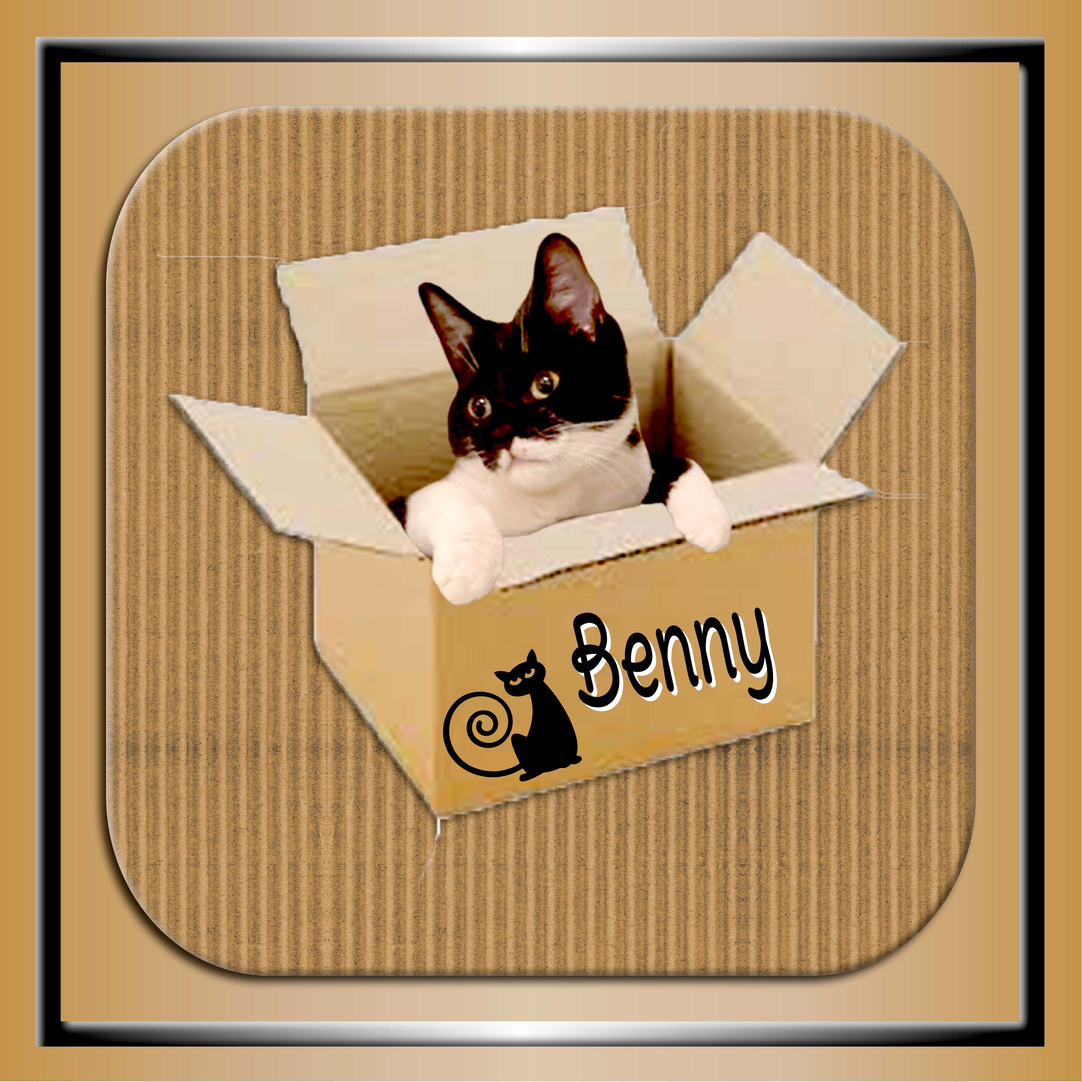 Carton avec Benny