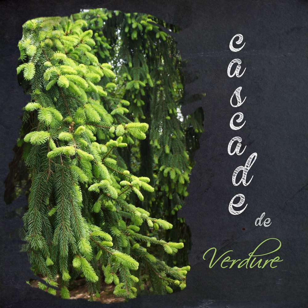 cascade de verdure