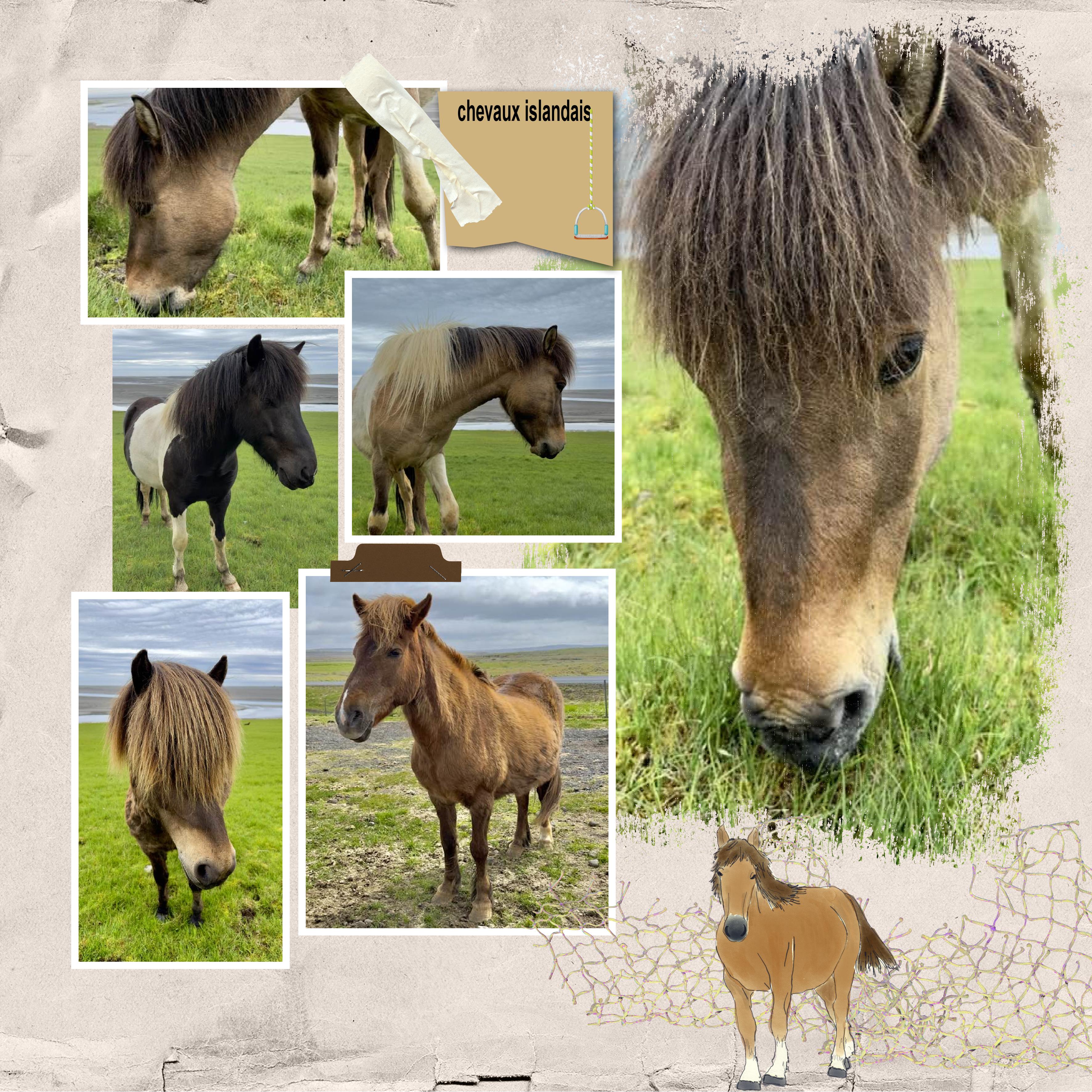 cascades (page 3).jpg