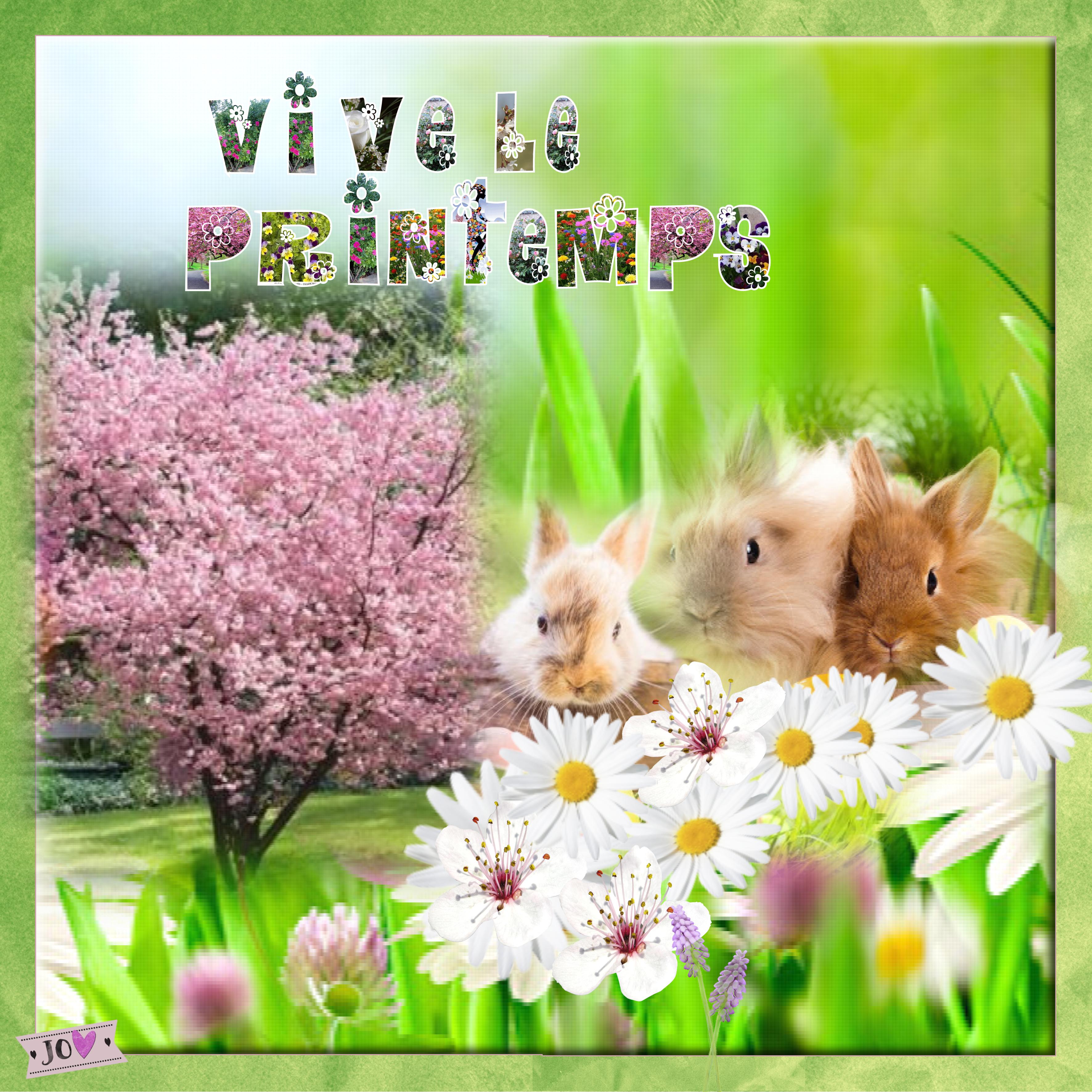 cdip mars 2022 printemps.jpg