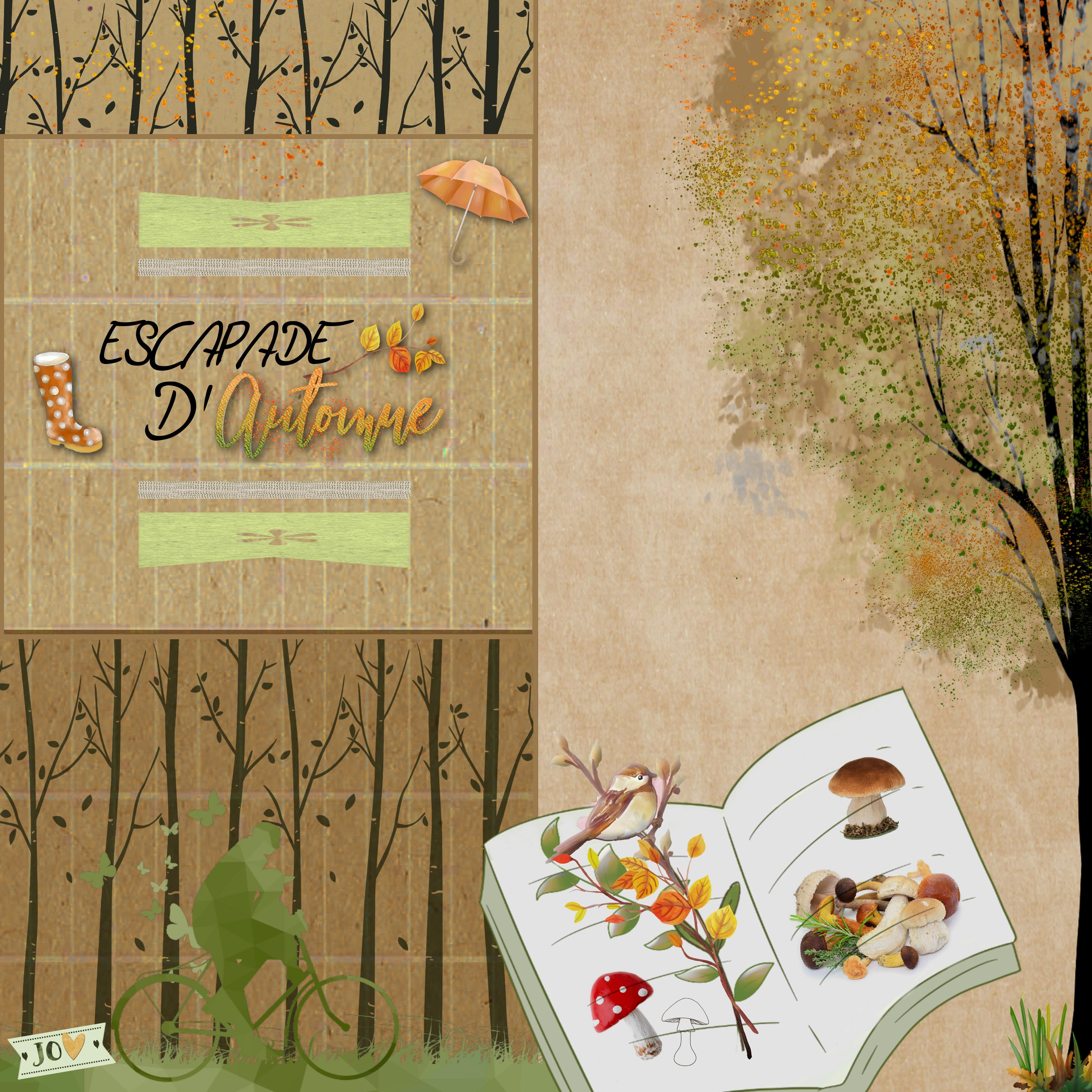 cdip novembre 2021 Escapade d'automne.jpg