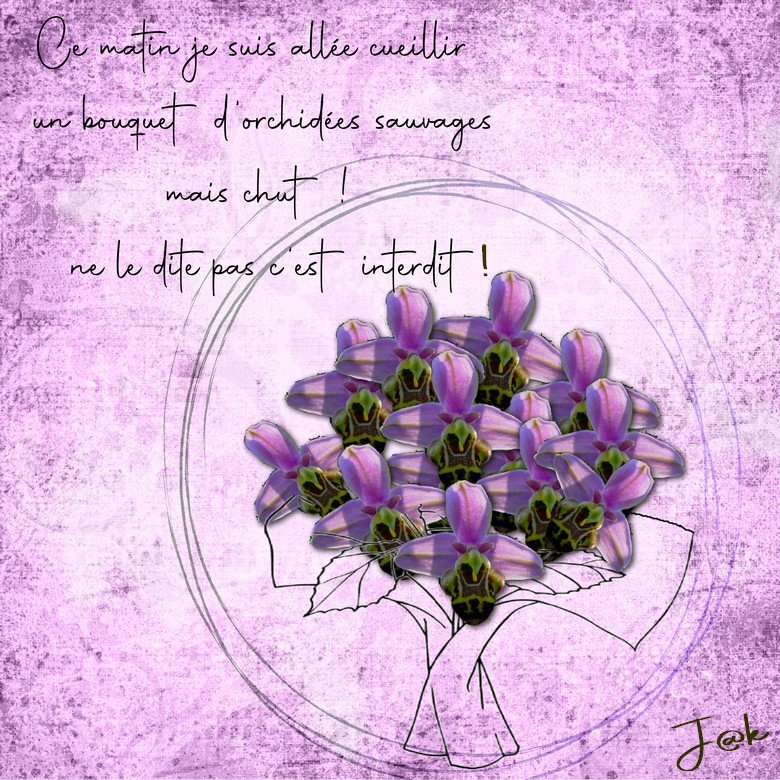 ce matin je suis allée.jpg