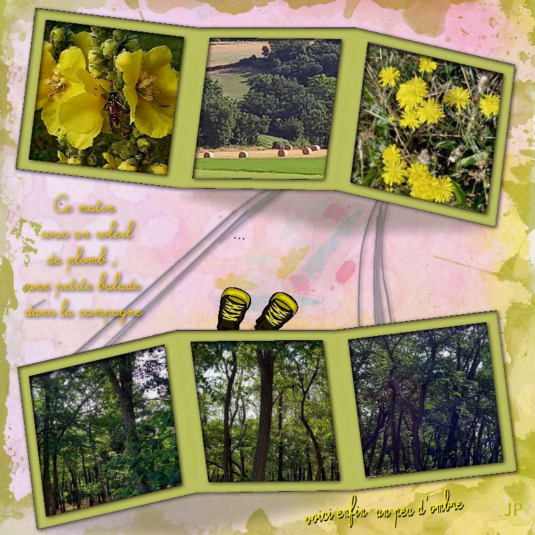 ce matin  sous un soleil de plomb.jpg