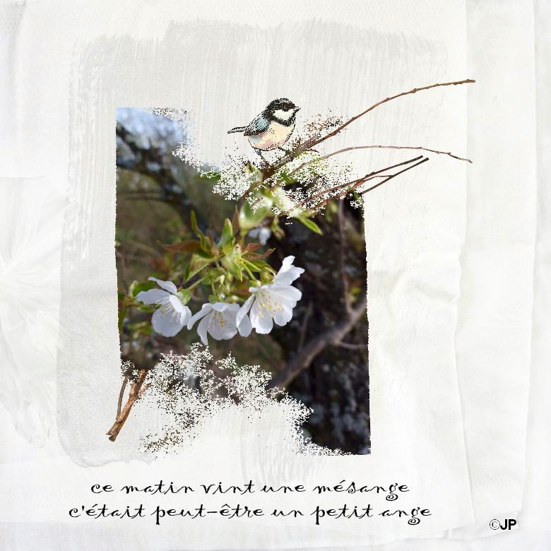 ce matin vint une mésange.jpg