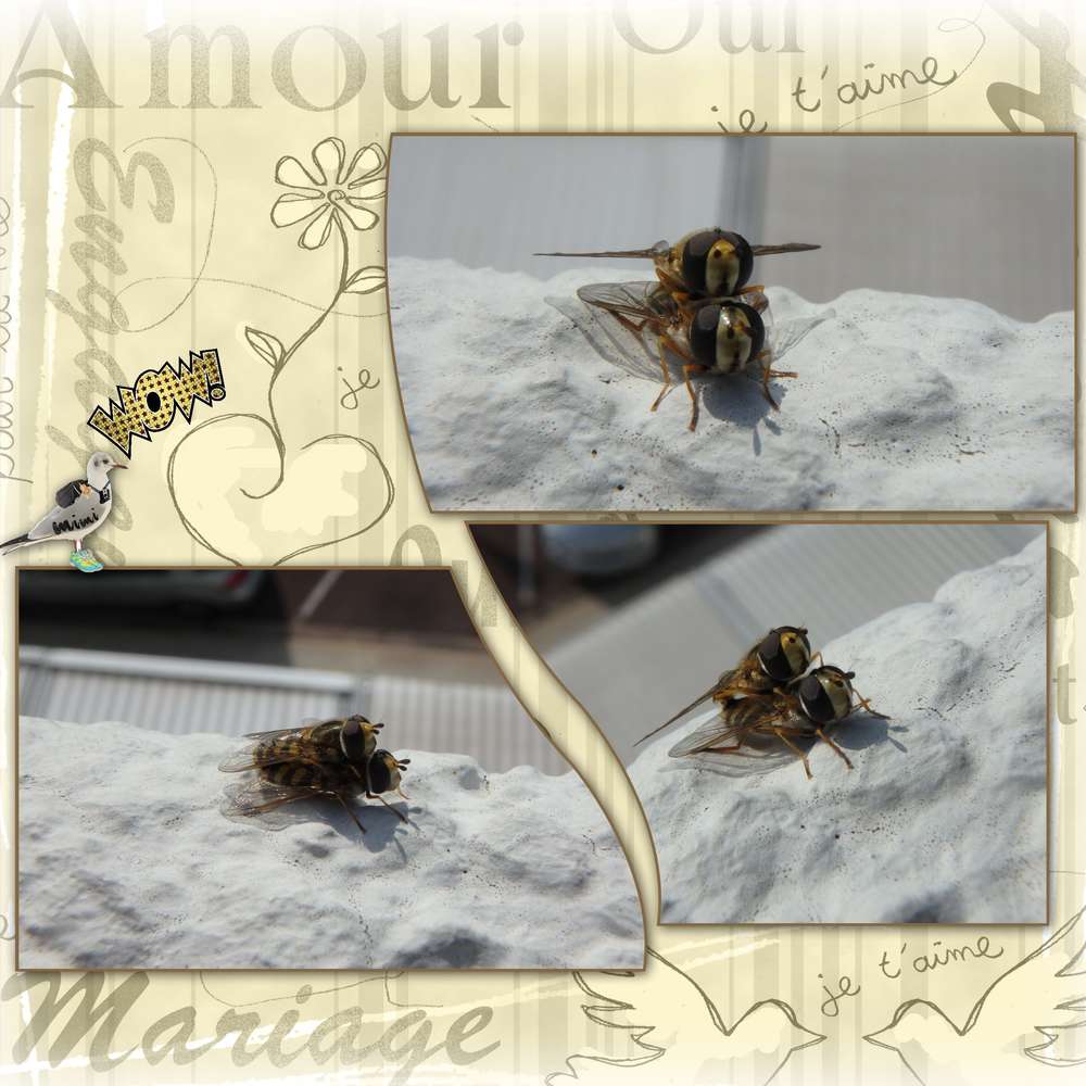 ce n'est pas le printemps....