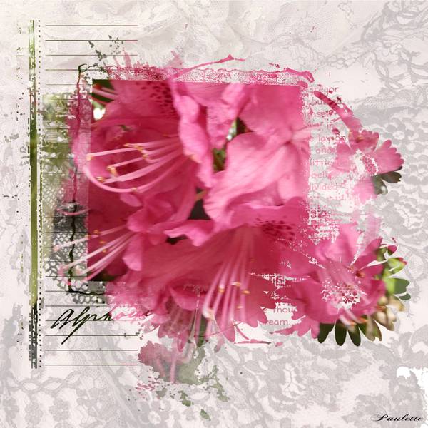 cécilia c'est ton jour