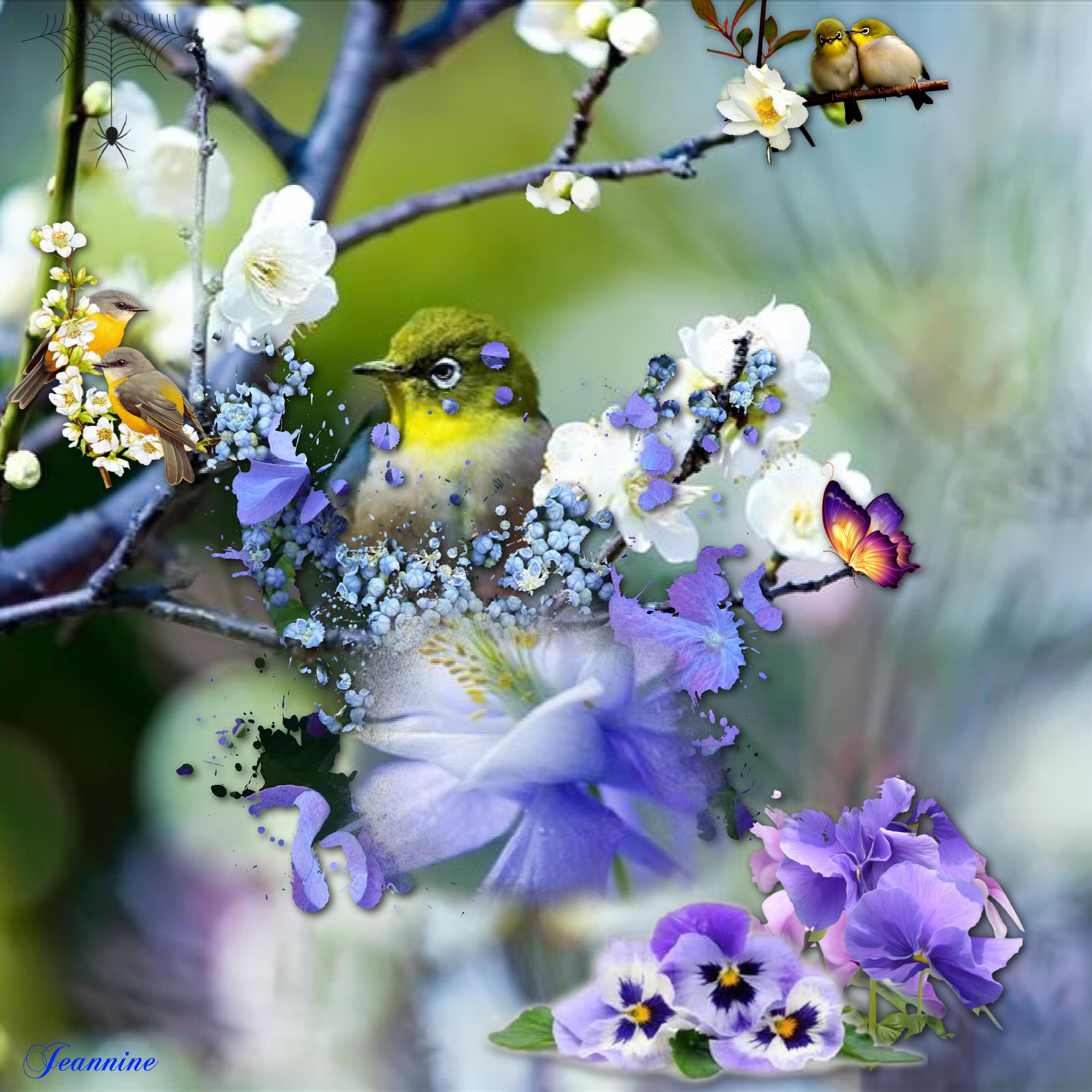 cerisier en fleurs_ Jeannine jpg