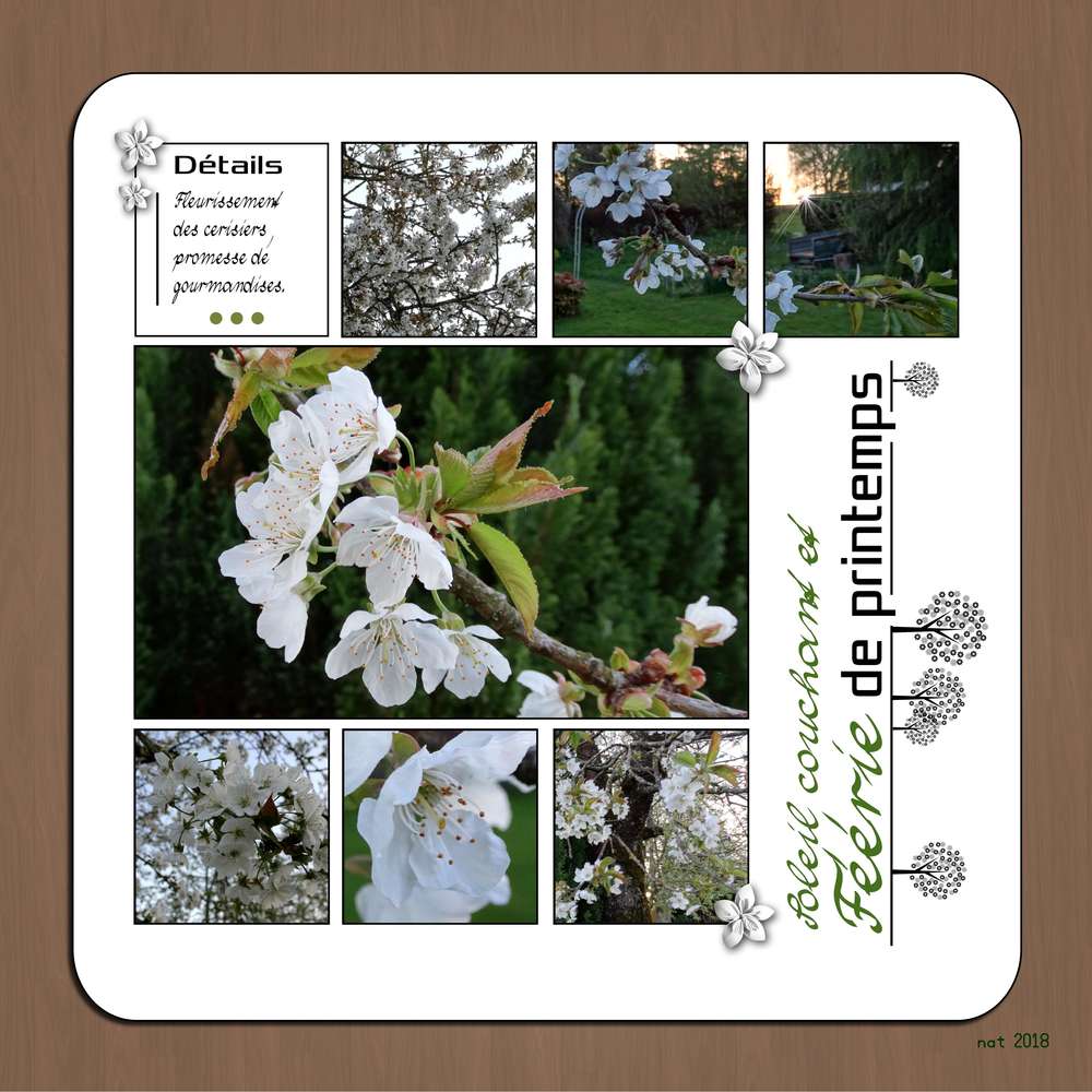 cerisiers_en_fleur_2018
