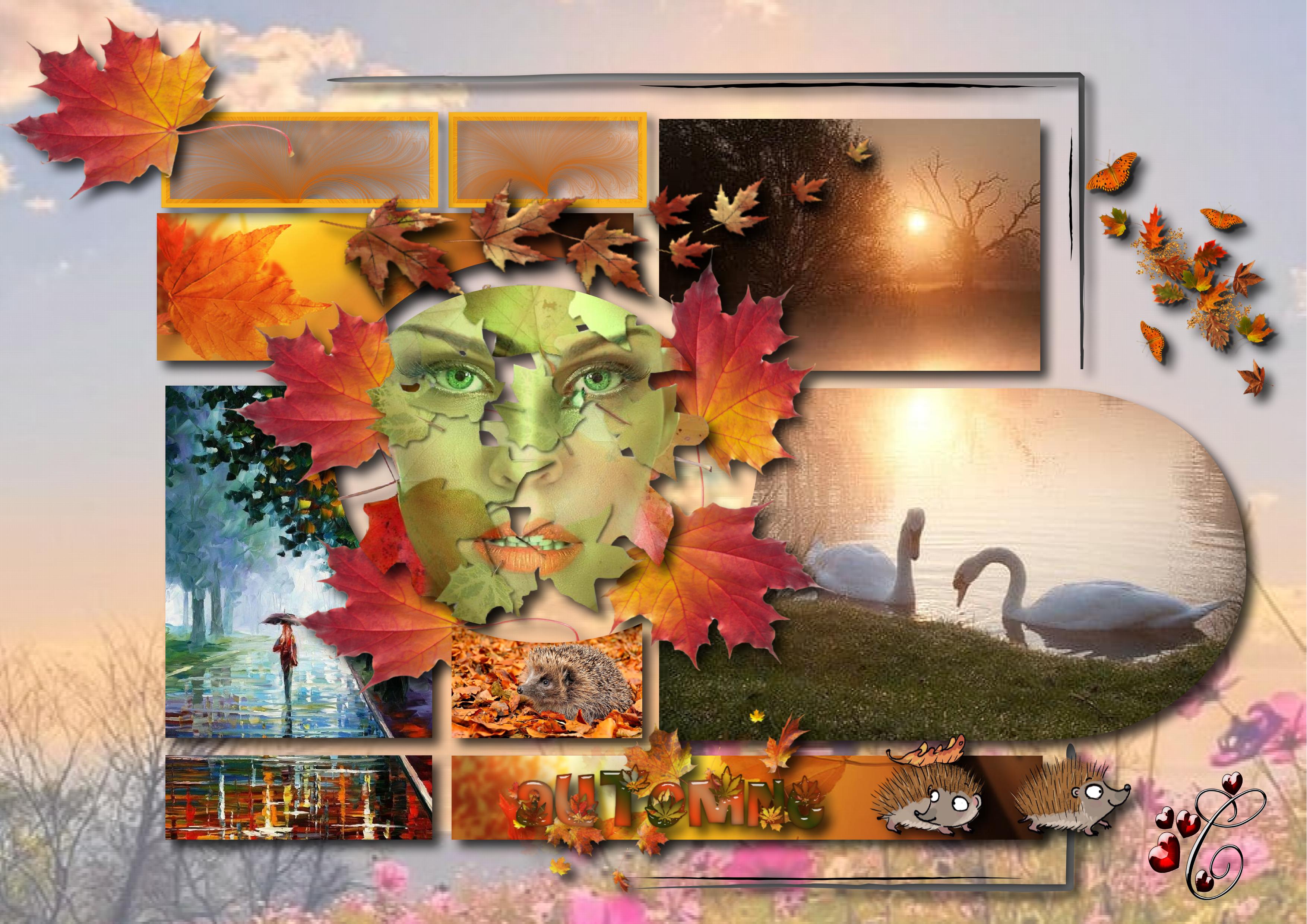 c'est la vie c'est Automne de la vie.jpg