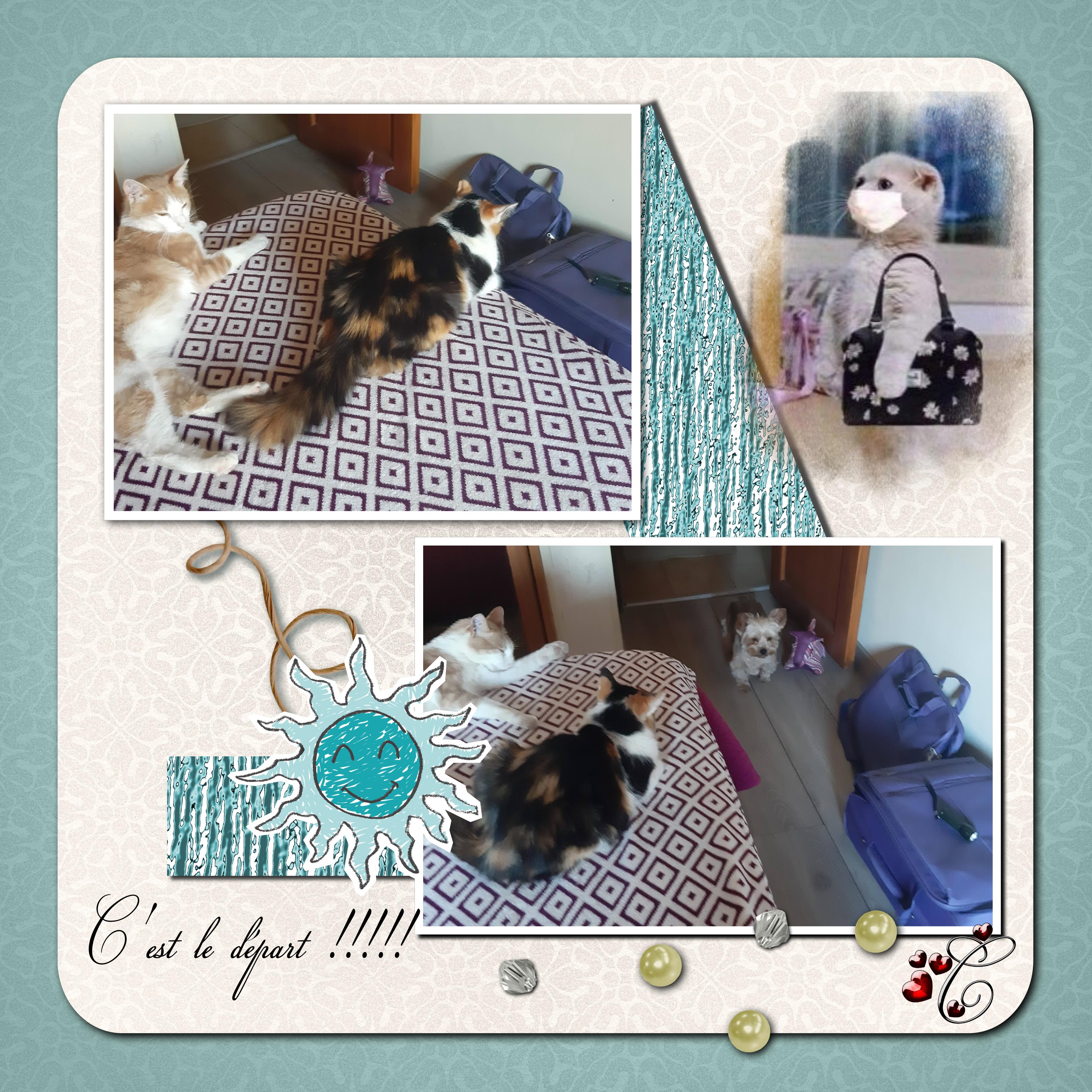 C'est le départ.jpg