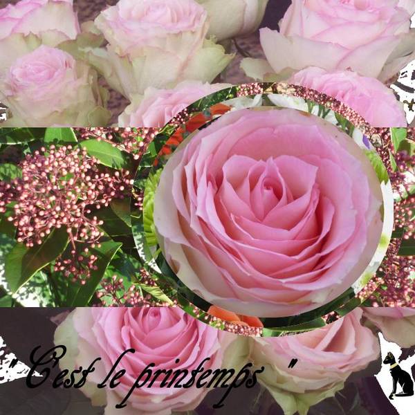 =:= C'est le Printemps =:=