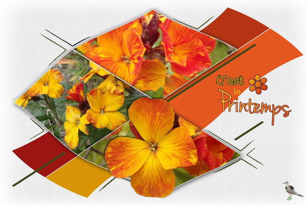 c'est le printemps....