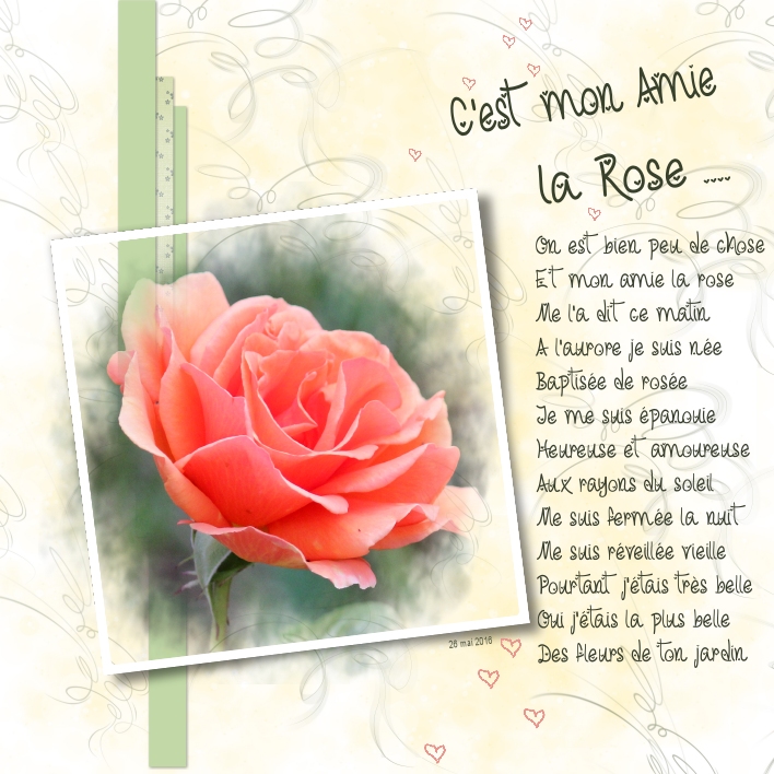 C'est mon amie la rose