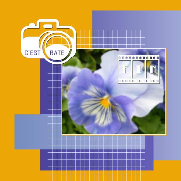 C'EST RATE - FIN