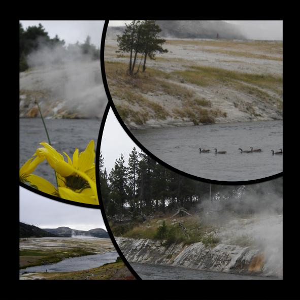 c'est tentant... mais toujours interdit !