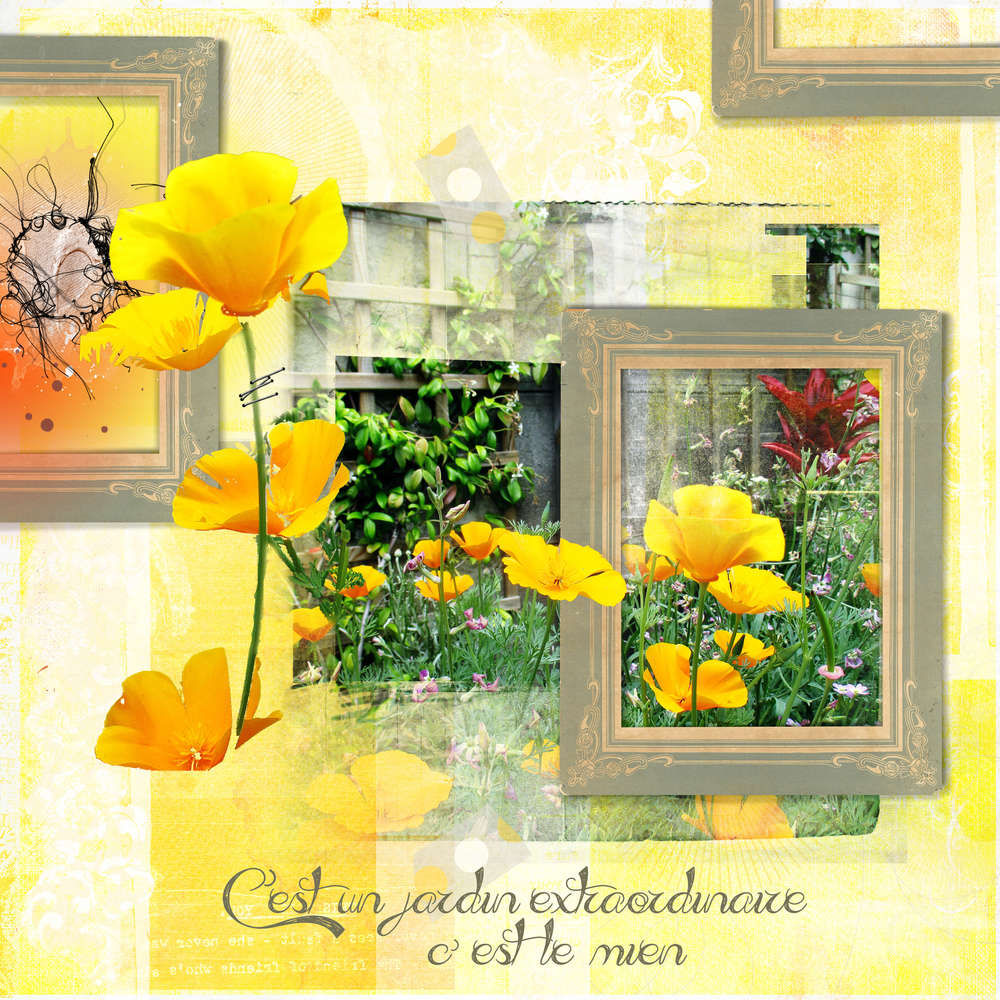 c'est un jardin extraordinaire , c'est le mien !