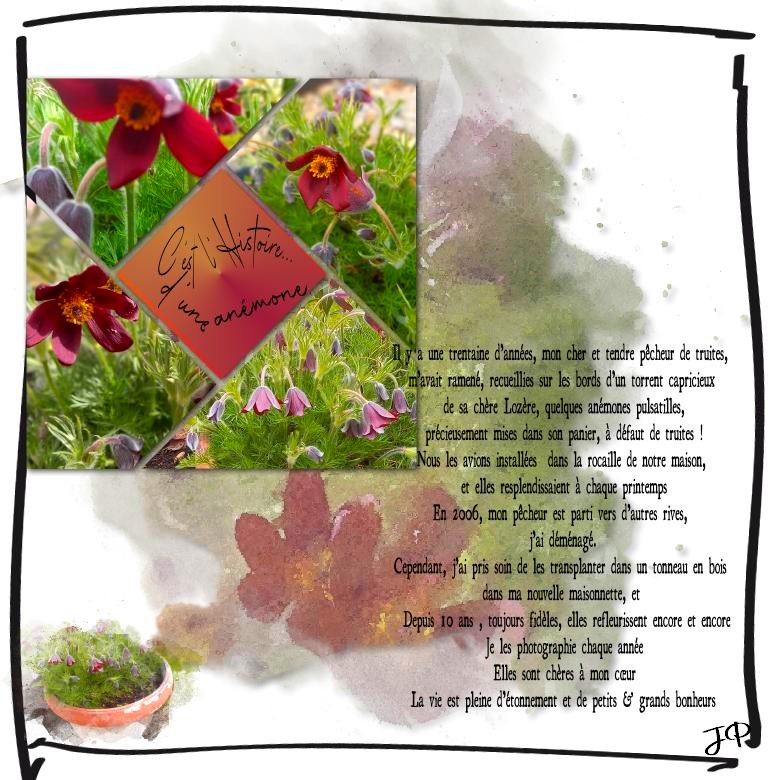 c'est une hisToire d'anémones .jpg