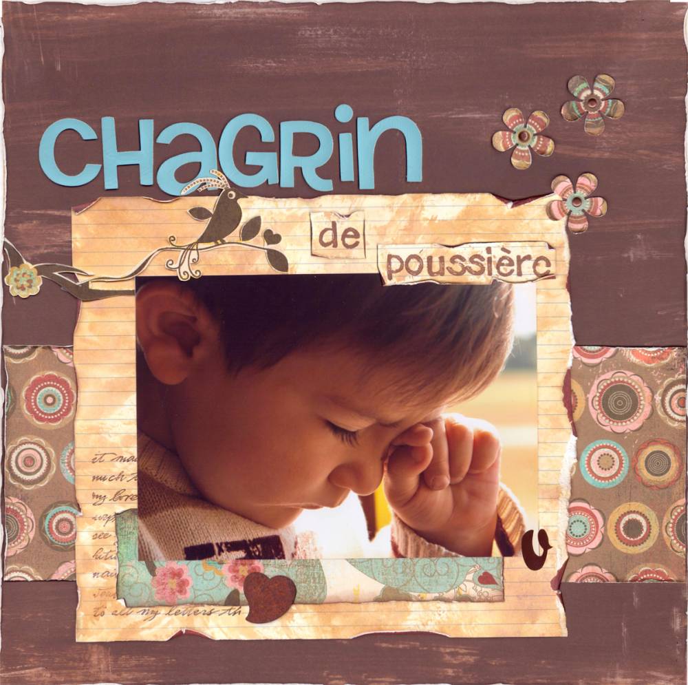 Chagrin de poussière