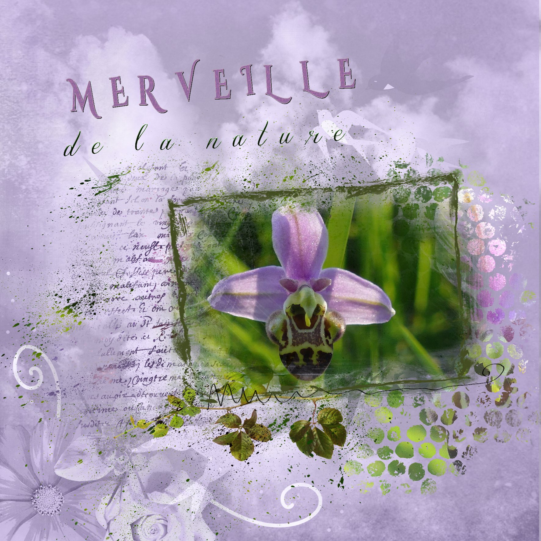 chalenge Aliselle.jpg