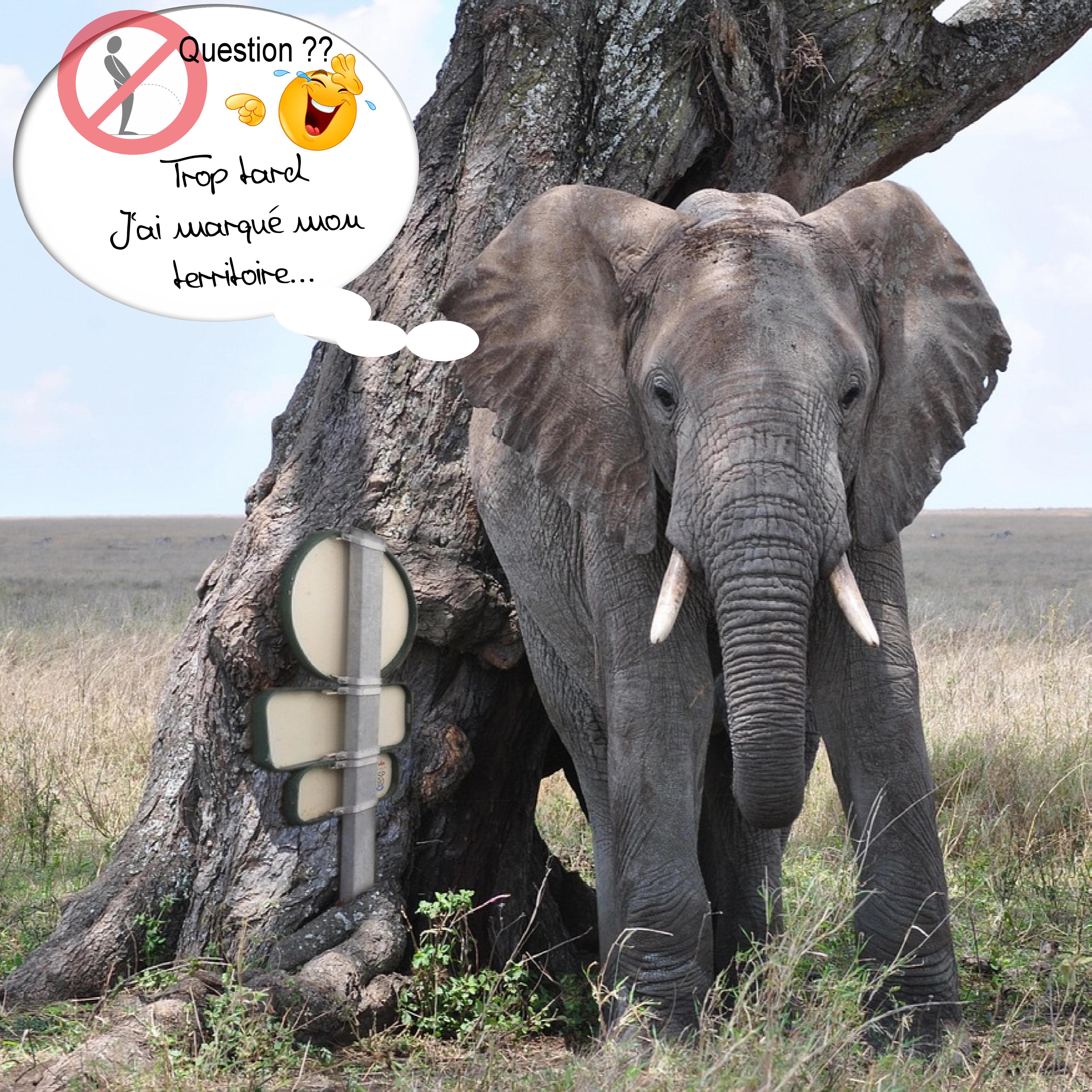 chalenge scraptober2025 (page 30) signalisation.jpg