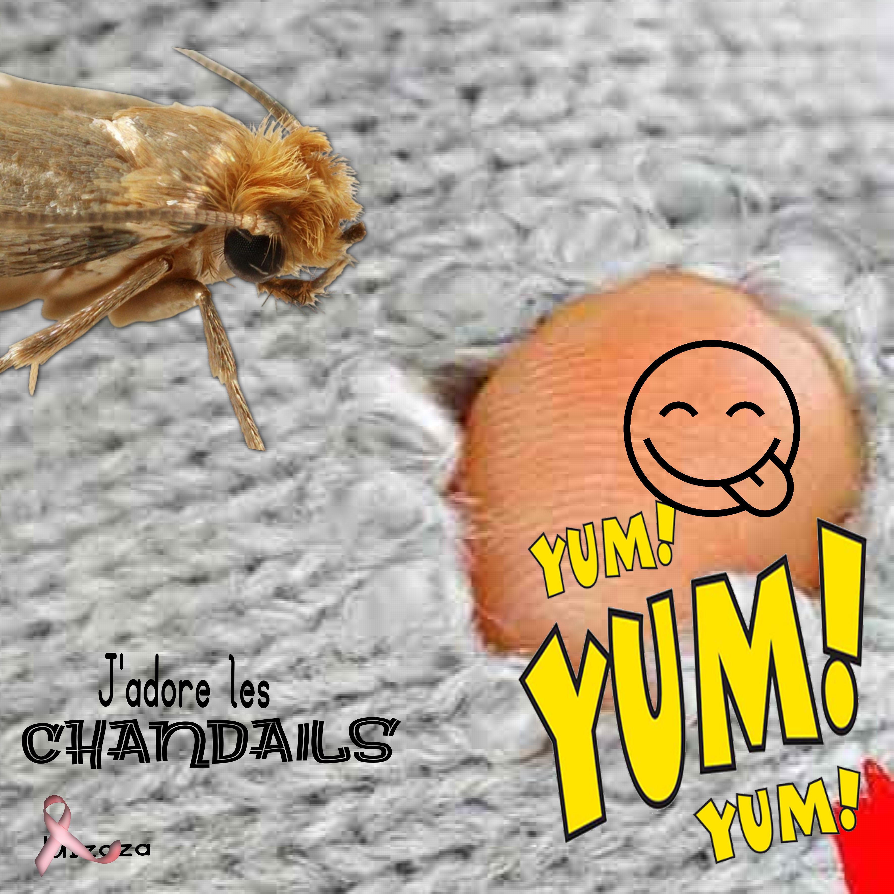 chalenge scraptober2025 (page19) chandail.jpg