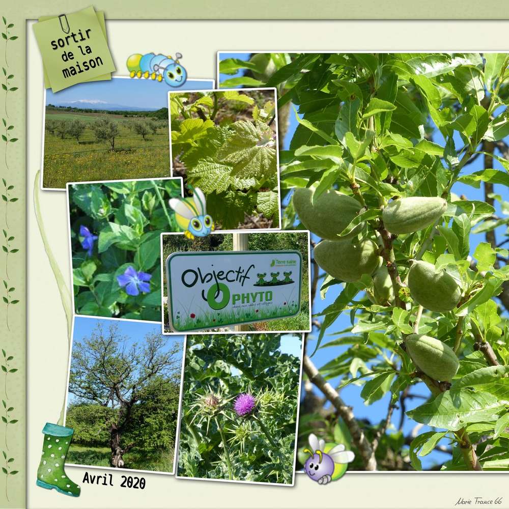 challeng-printemp-c'est vert 1