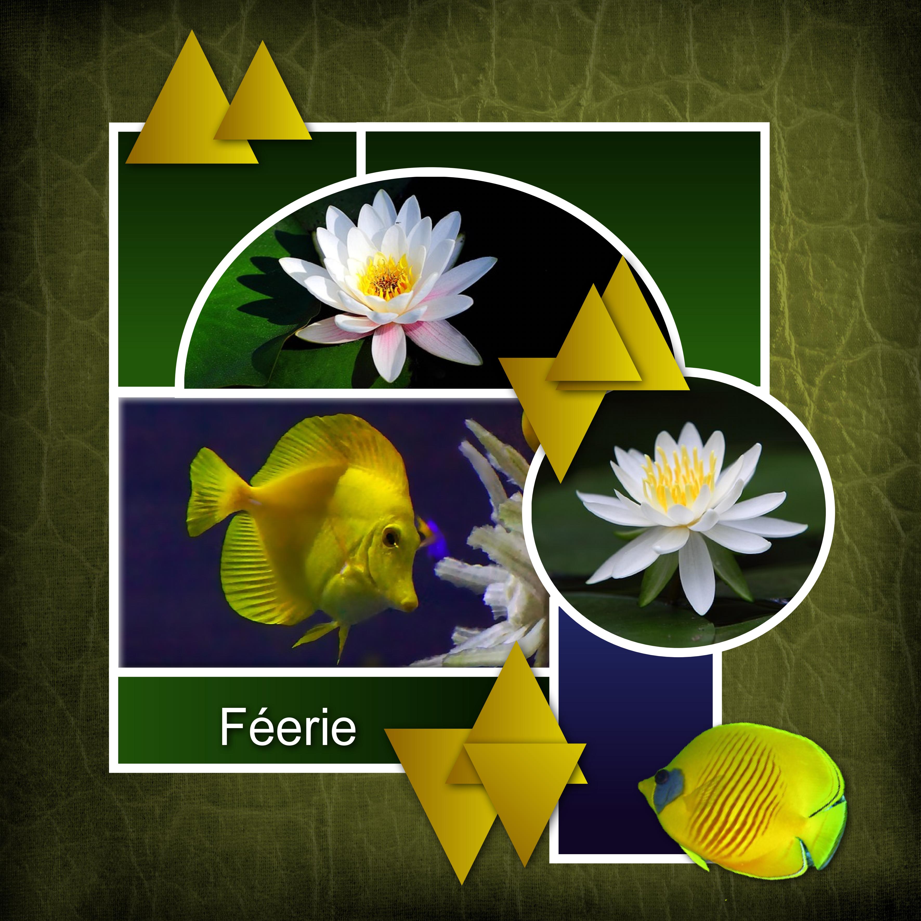 CHALLENGE 1 - FEERIE AQUATIQUE