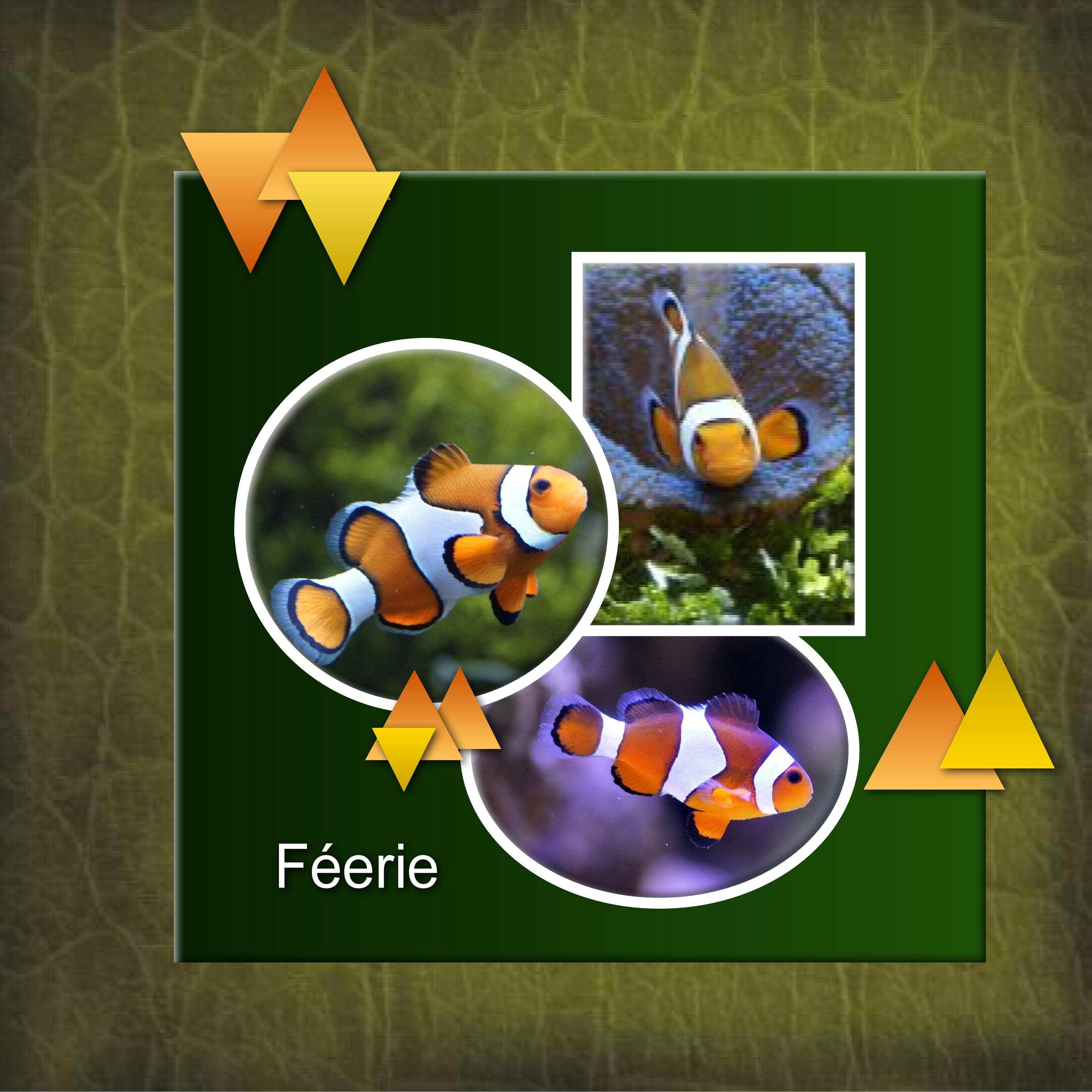 CHALLENGE 2 - FEERIE AQUATIQUE