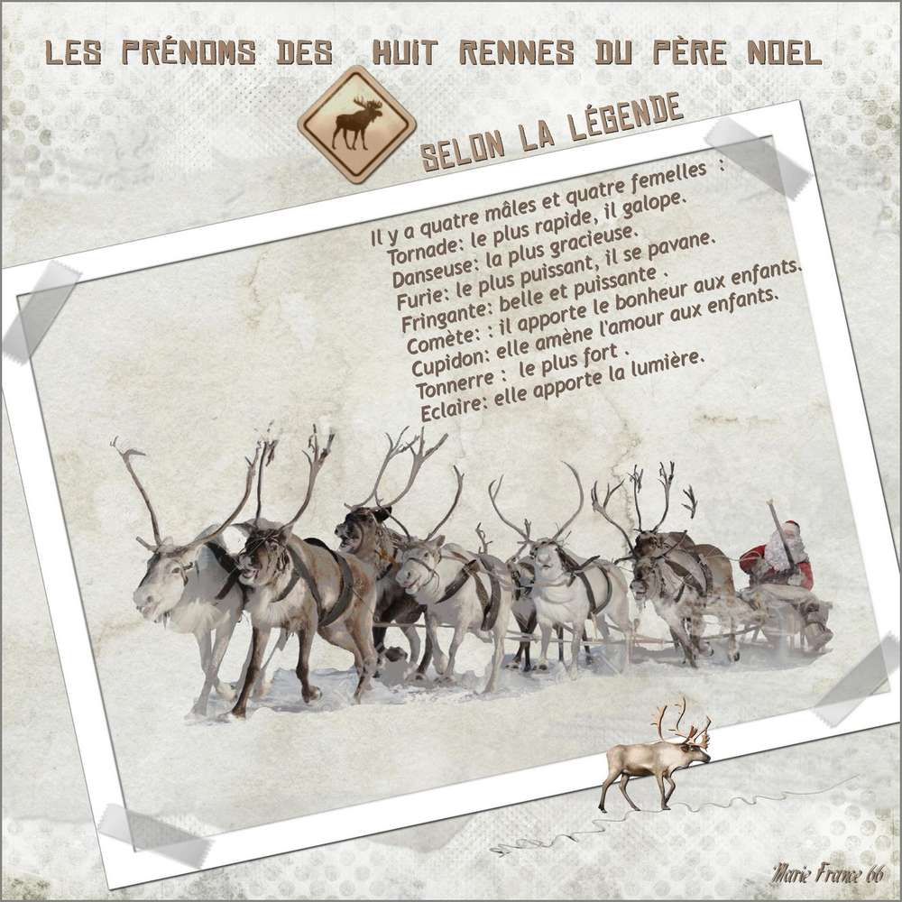 CHALLENGE 3 RENNE CDIP CHLOE