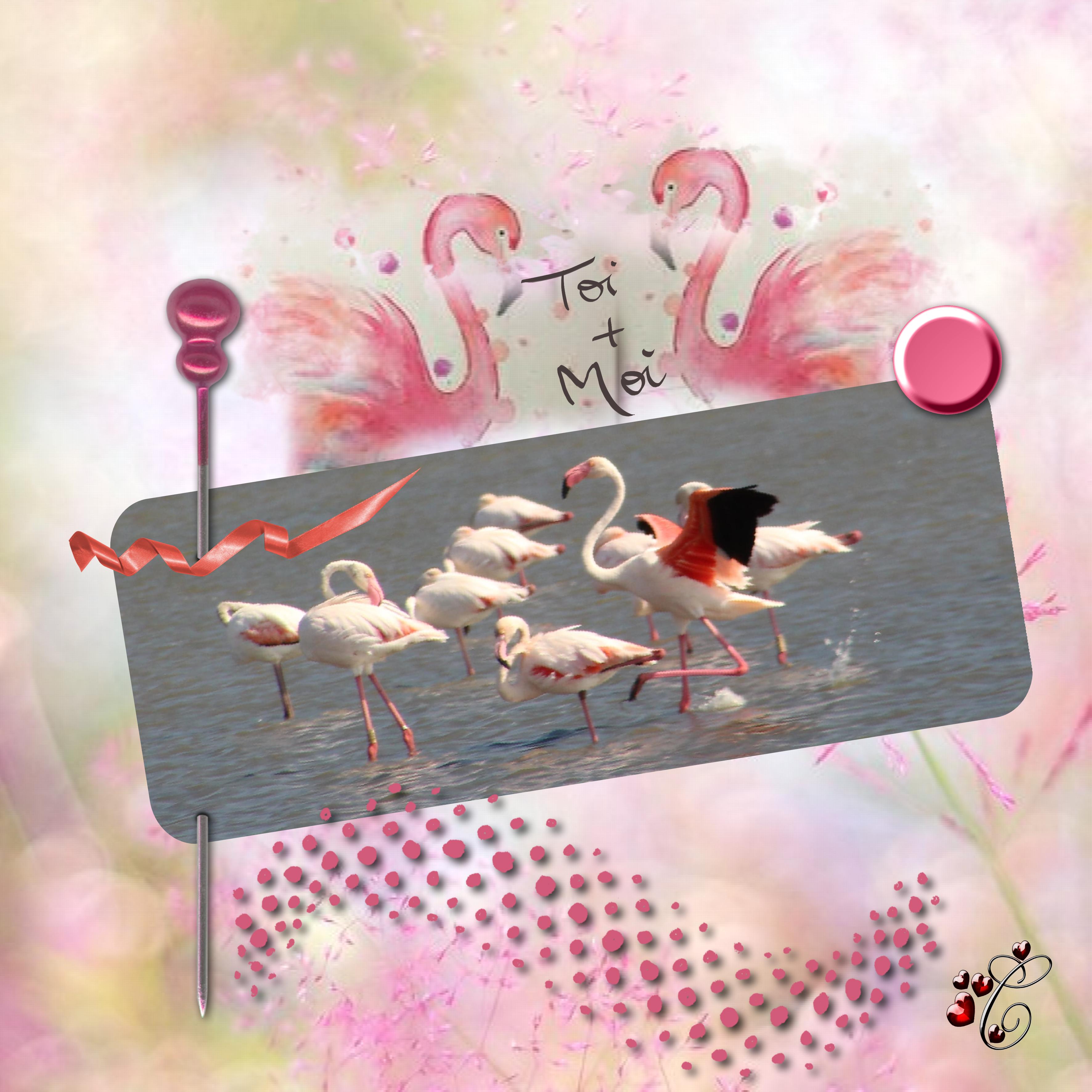 challenge 7 cdip.jpg