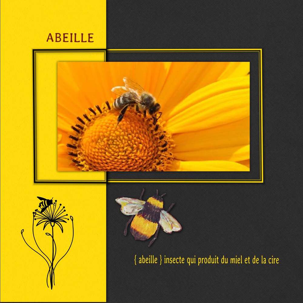 challenge abeille
