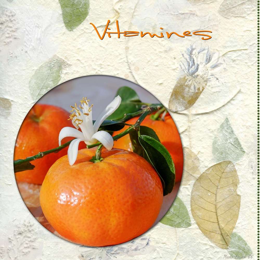 CHALLENGE ARC EN CIEL 14 JANVIER ORANGE 1