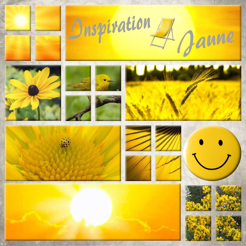 challenge arc en ciel 20/01 jaune